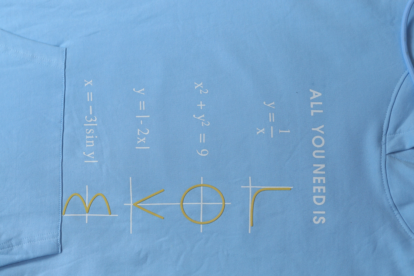 Mathematical Love Oversized Screen Printed Hoodie in Arctic Blue (Limited Edition)